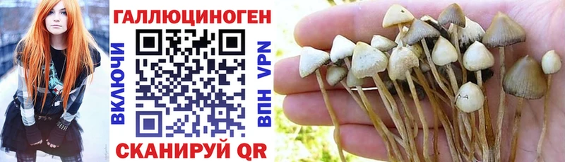 Галлюциногенные грибы ЛСД  наркошоп  hydra ссылки  Реутов 